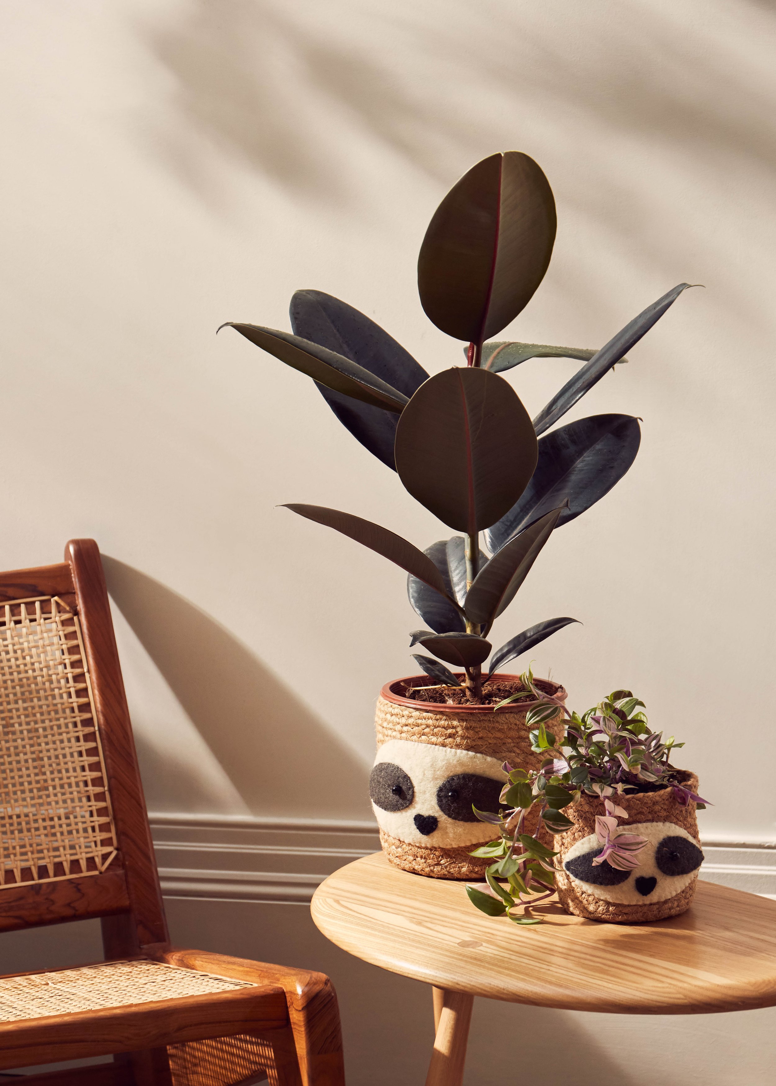 20220303_WS HOMEWARE SS_MISC_069.jpeg