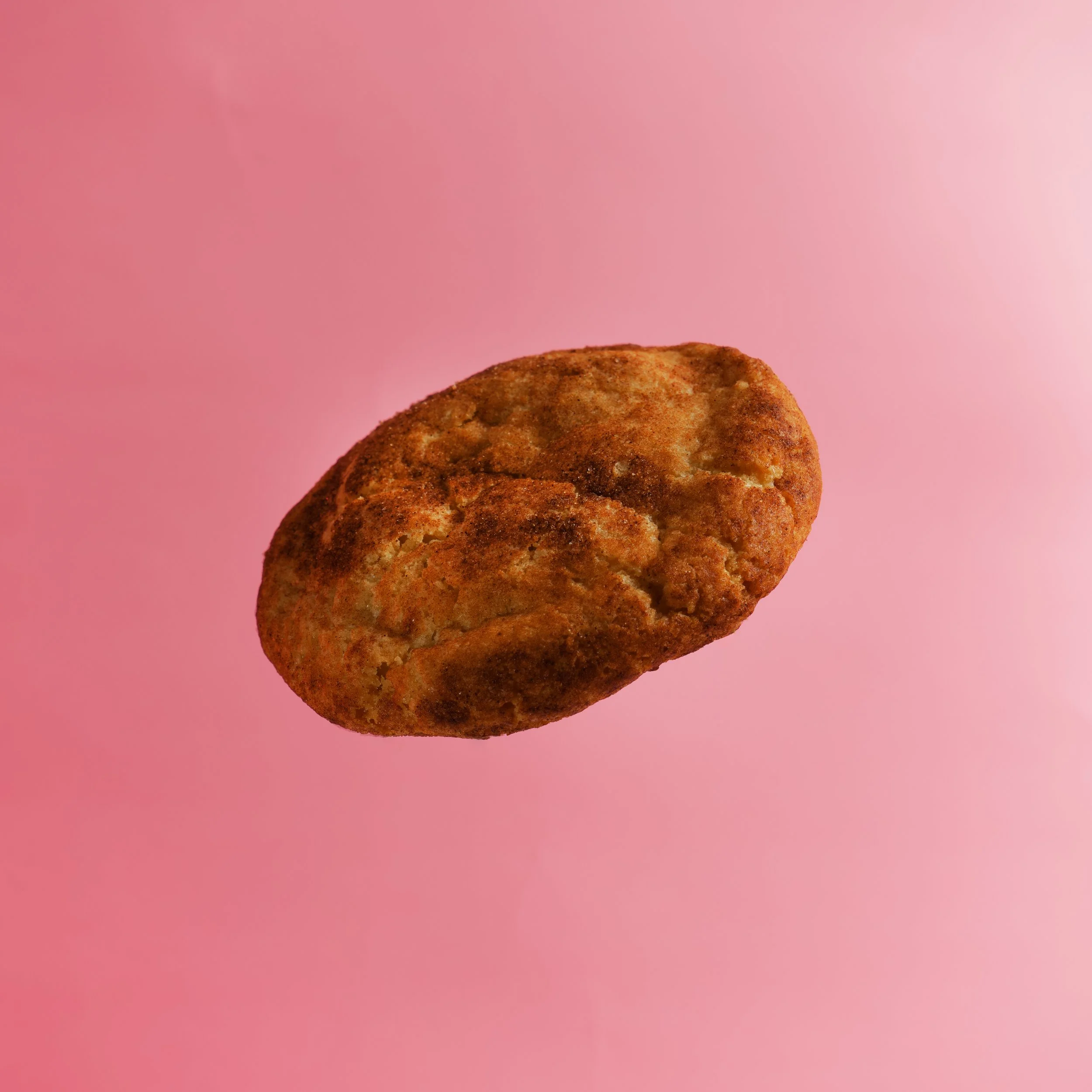 Snickerdoodle-2.jpg