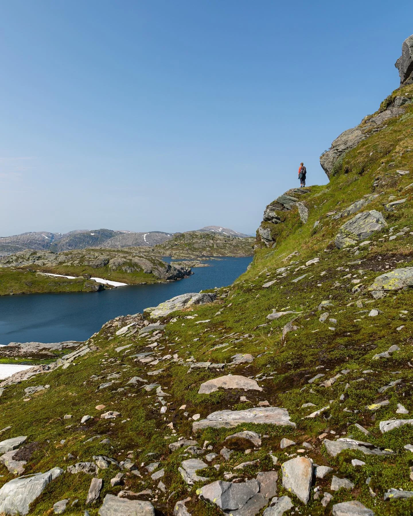 Ferie og tilsyn av sau☀️🐑