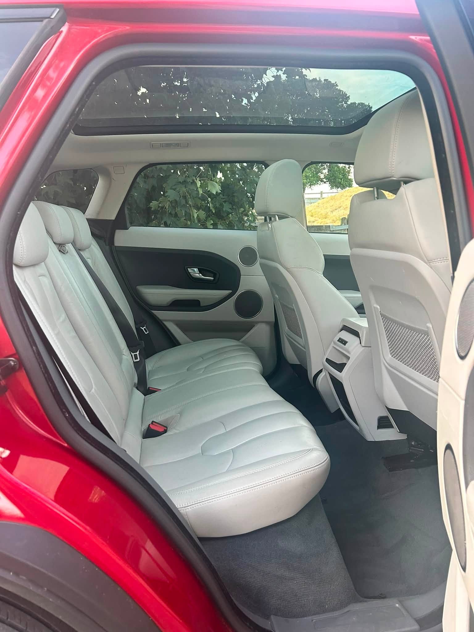 772036667_1725106136288372_1747774578653106300_n.jpg