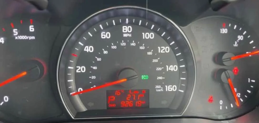 864445372_1801759711956347_3548144737170223598_n.jpg