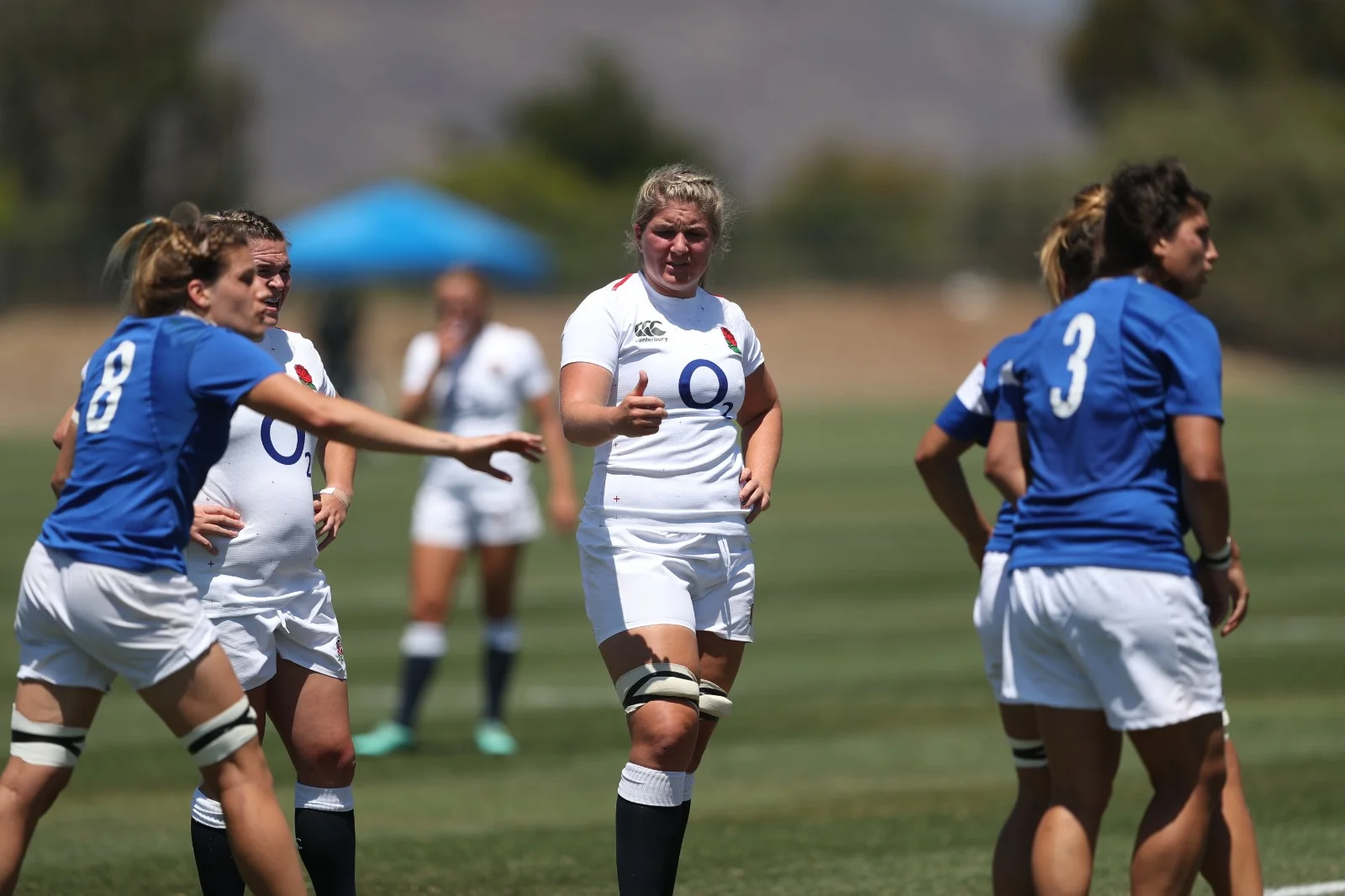 Do you have appearance fees? 