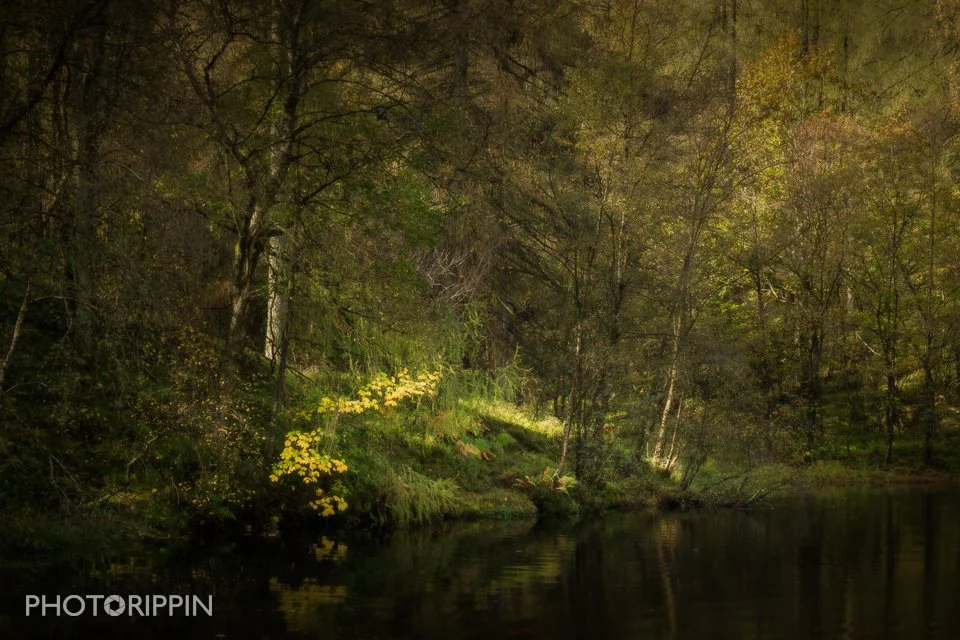 A splash of gold