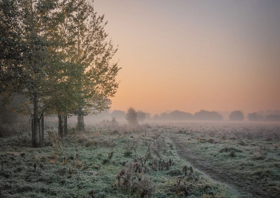 Early morning light