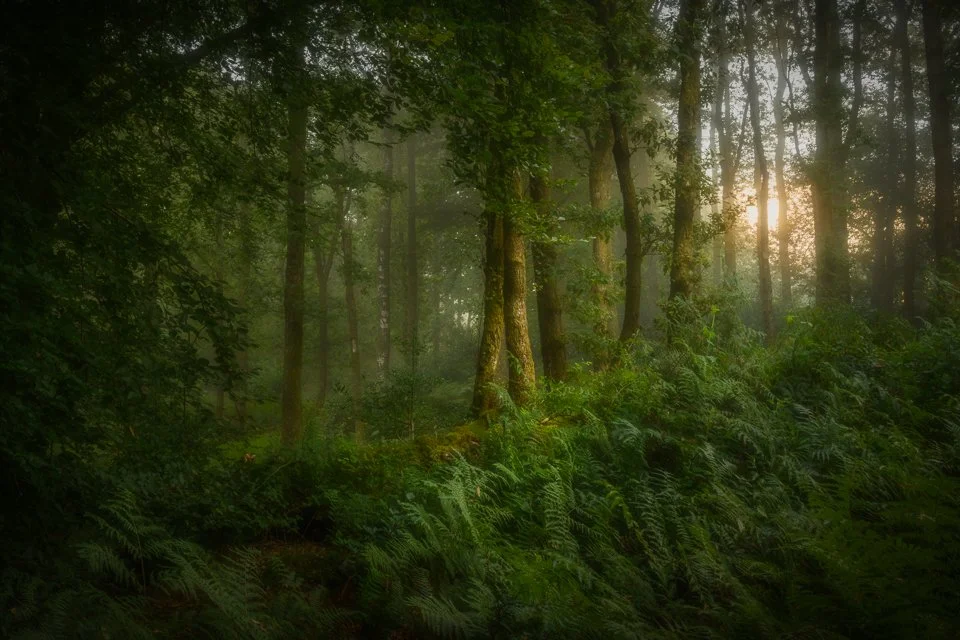 Sun breaking through