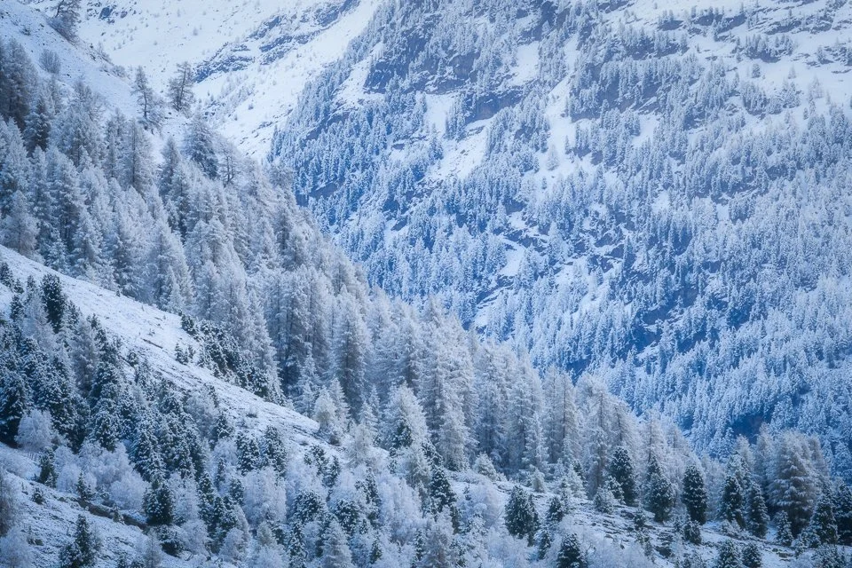 DMR20260519-Obergurgl_Z7ii_23-Edit.jpg