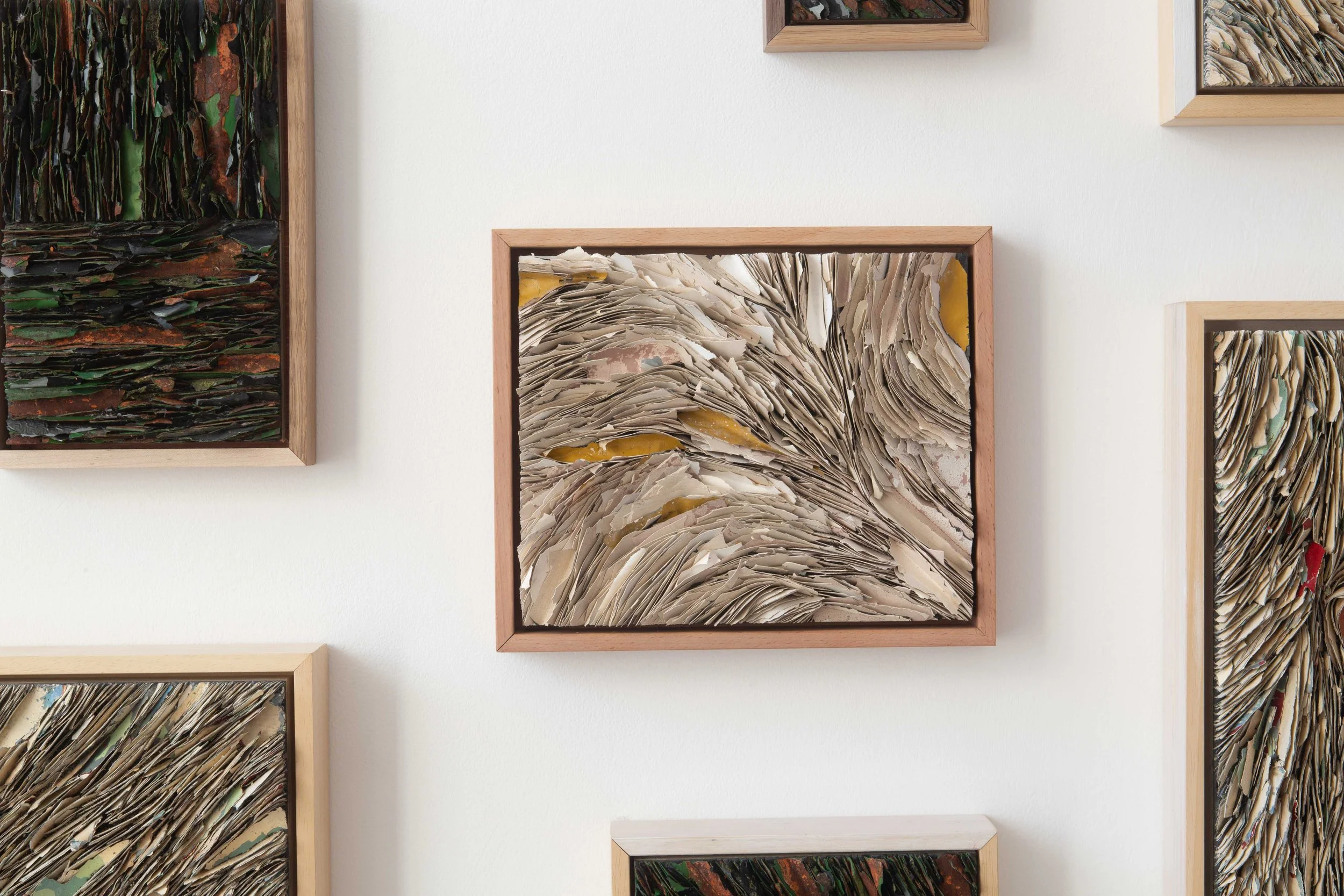 Alex Allan - Stallan Brand 2025-11.jpg