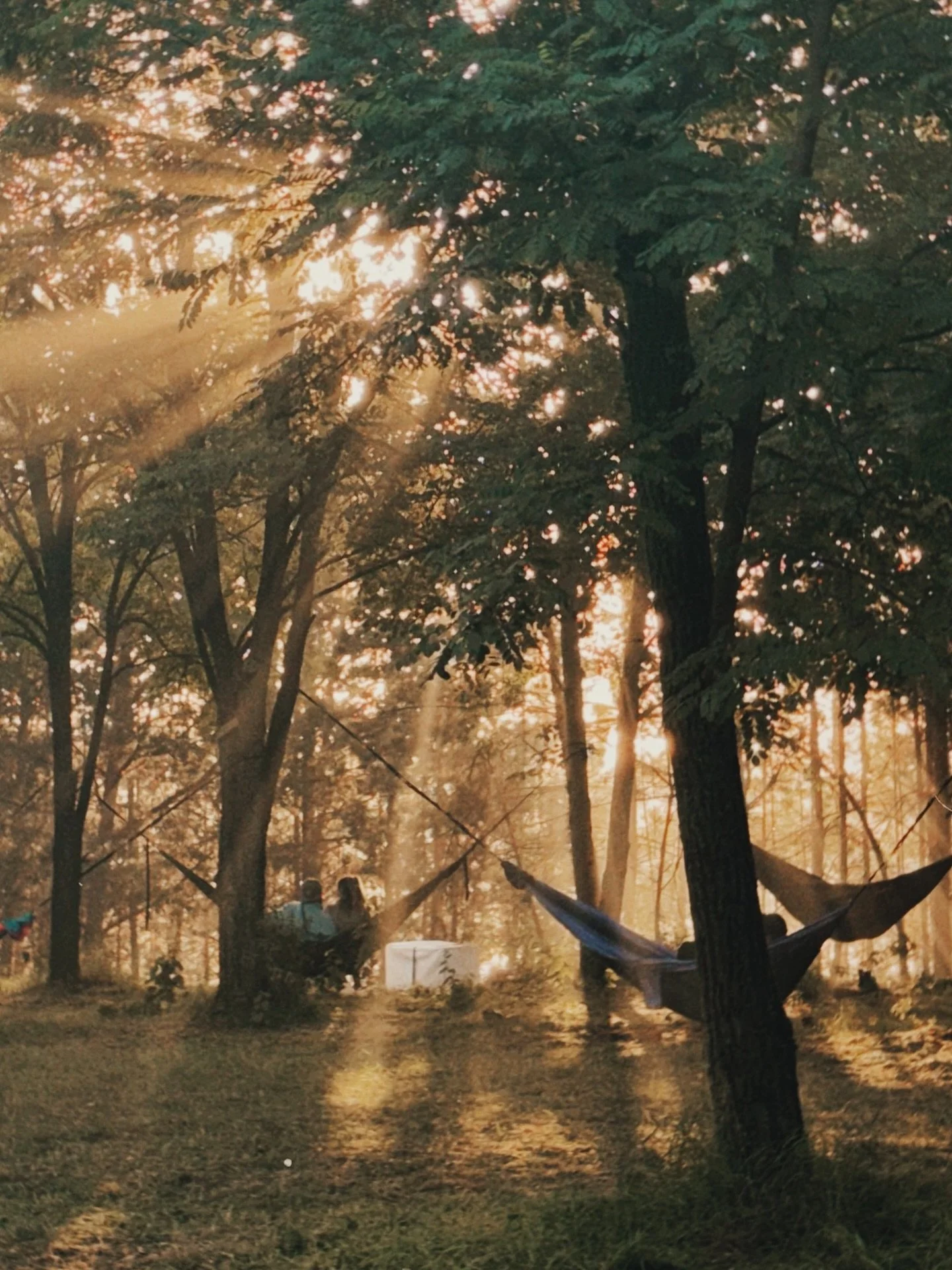 sparks of summer ✨