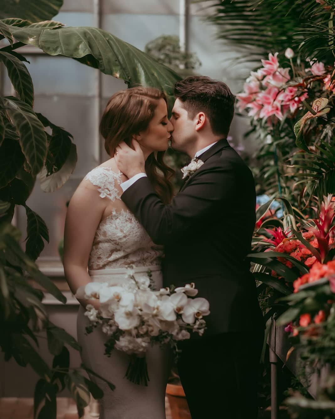 I have nothing exciting to say, I just wanted to share this beautiful couple in this amazingly lush location.  You're welcome.

Florals: @sbblooms 
Venue: @biltmoreweddingsnc @biltmoreestate 
dress: @pronovias 
Cake: @cakesbylexie
H+MU: @brimckhairst