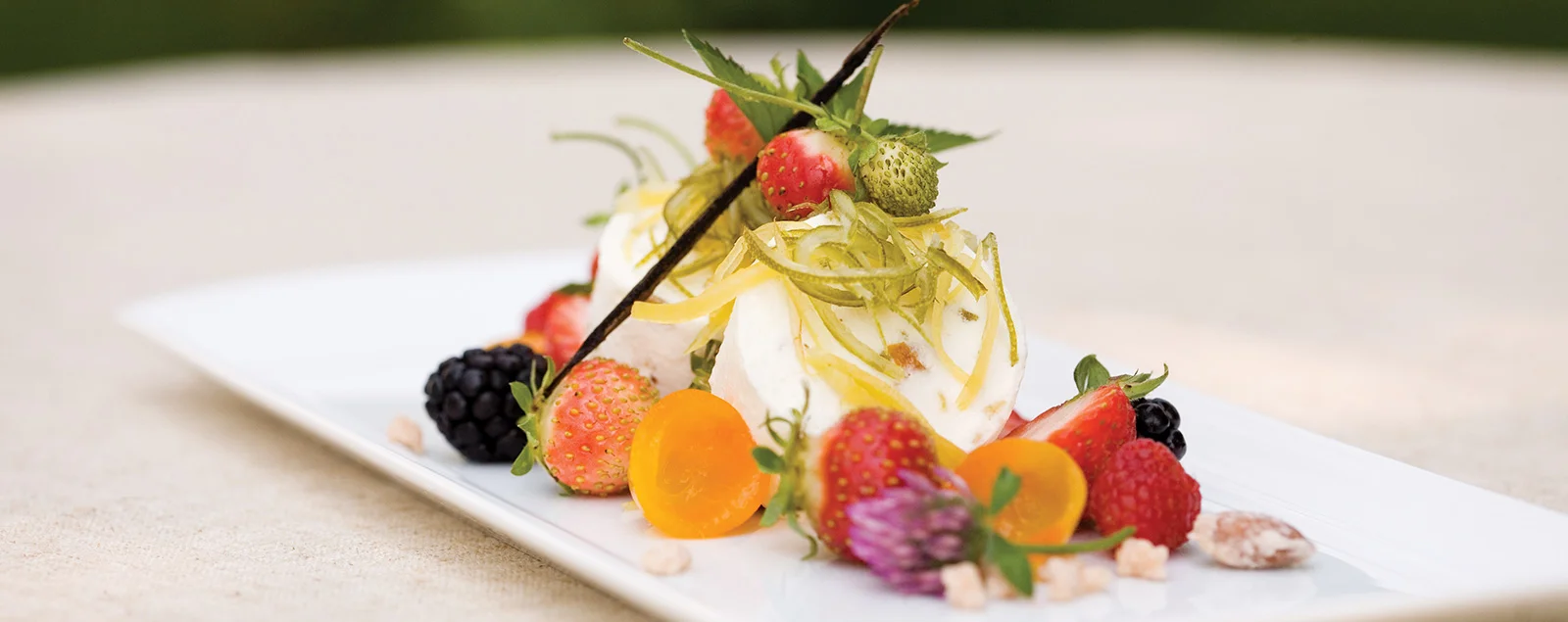 The Magic at Winvian Farm