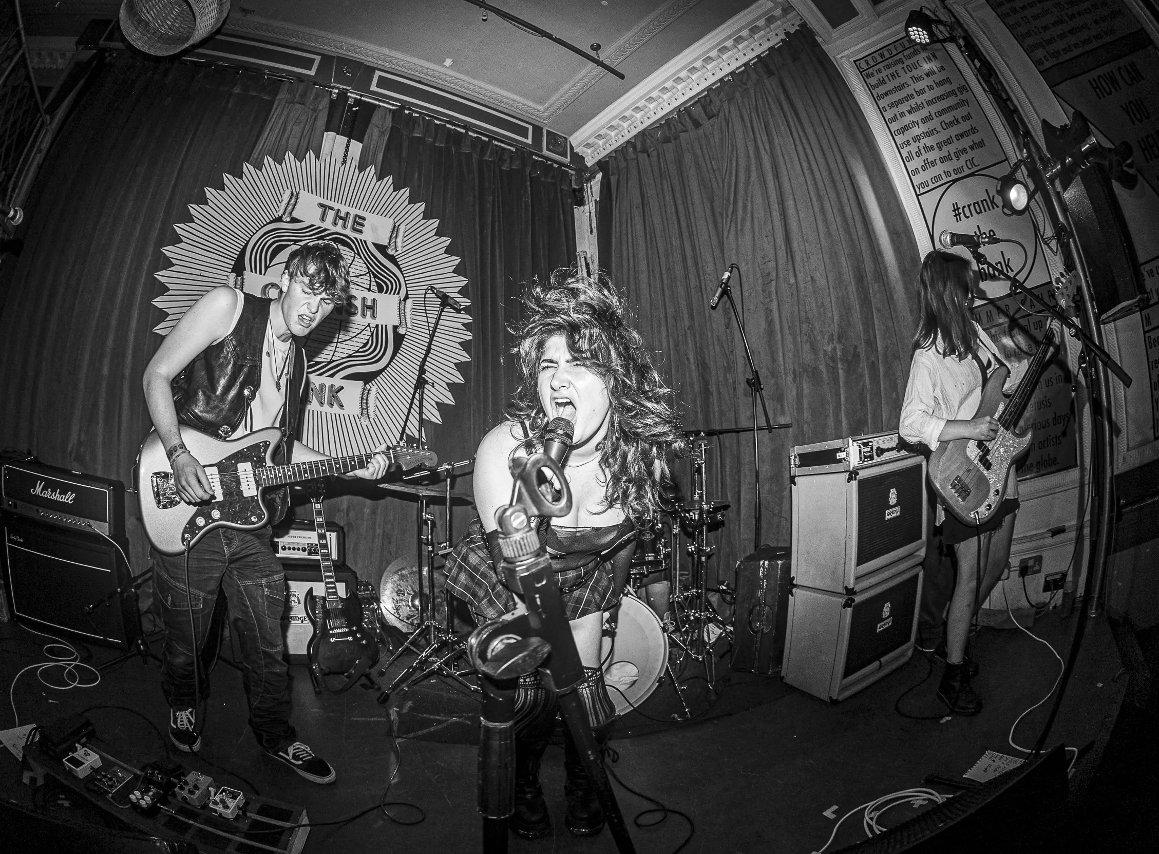 The Dollies