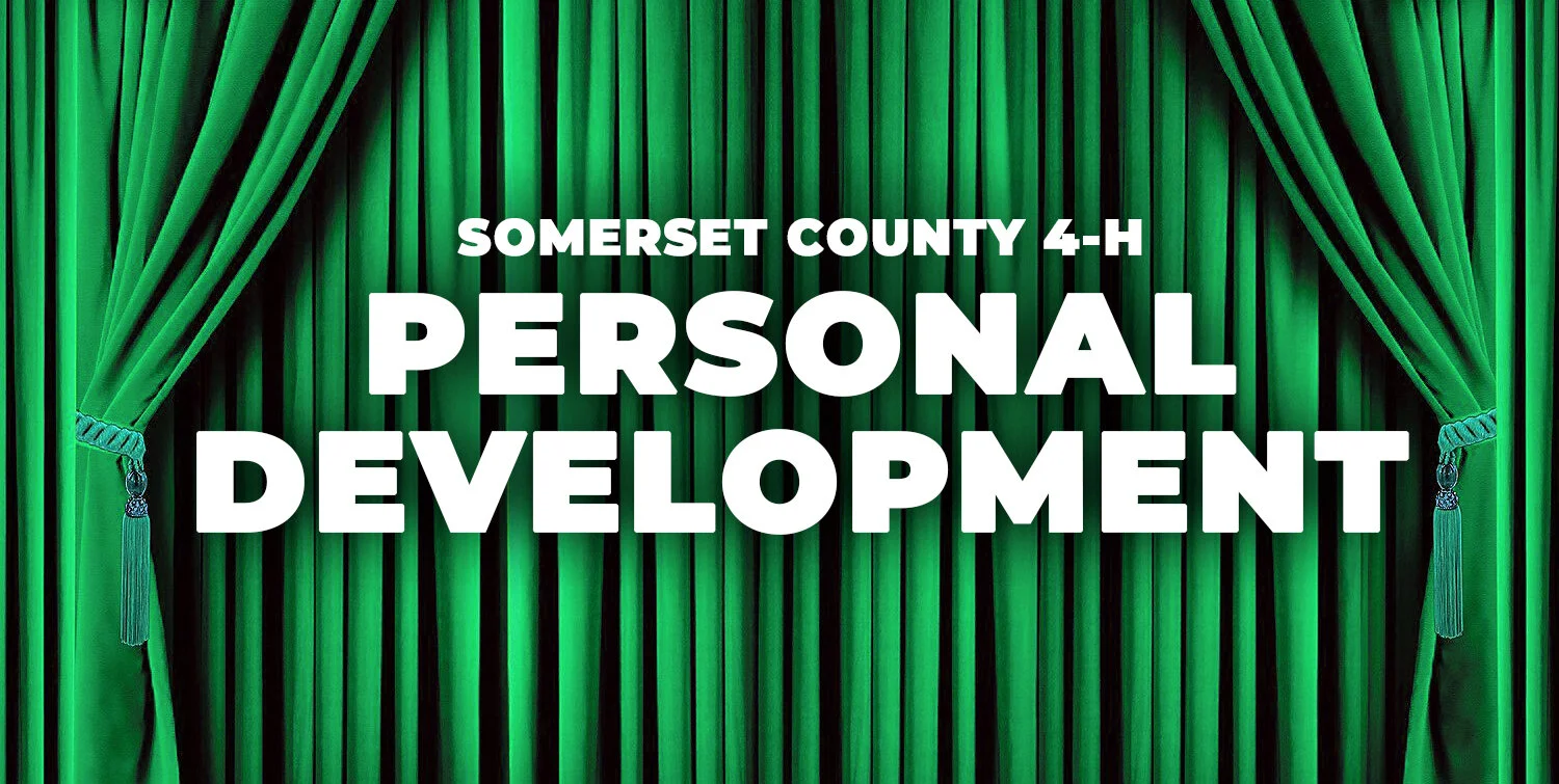 Somerset County 4-H Awards: Personal Development