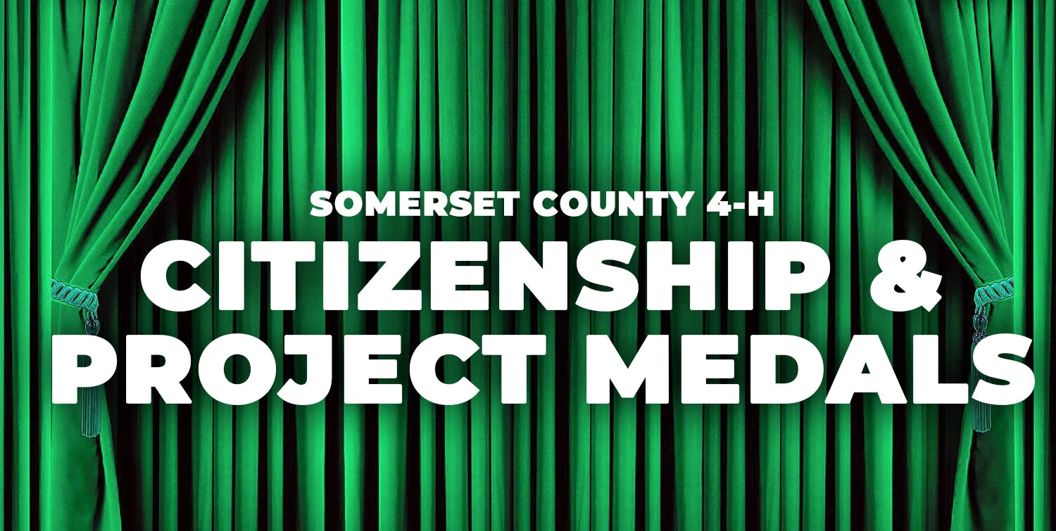 Somerset County 4-H Awards: Citizenship &amp; Project Medals