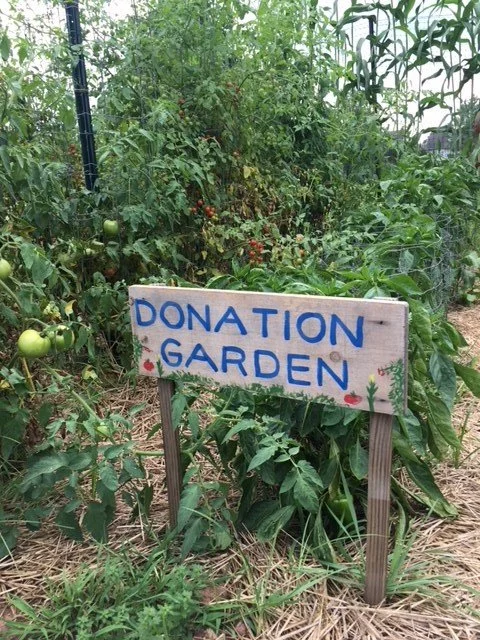 Somerset County 4-H Garden & Bee Club Grows Food for the Community