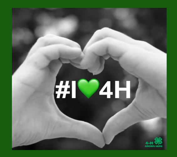 New Year - Better You 4-H Heart Project Challenge