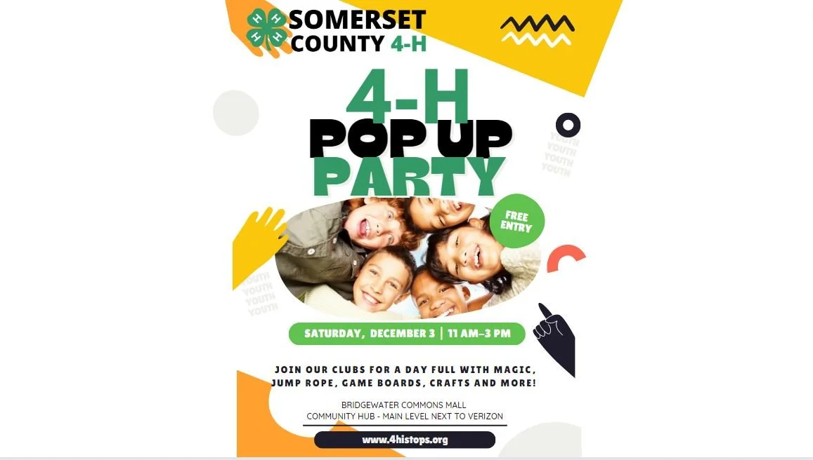 Somerset County 4-H Pop Up Party!