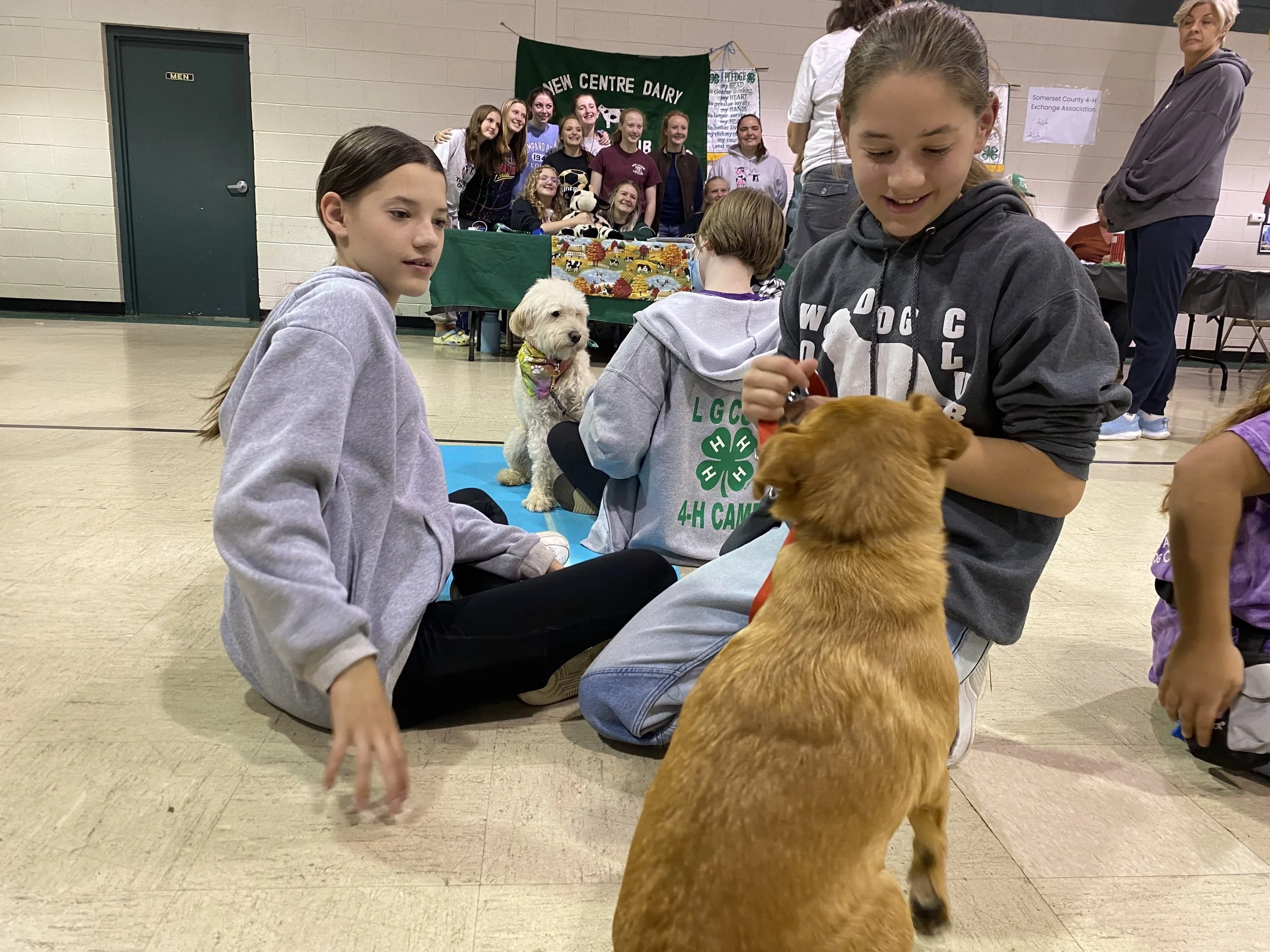 Woof Division Brunch