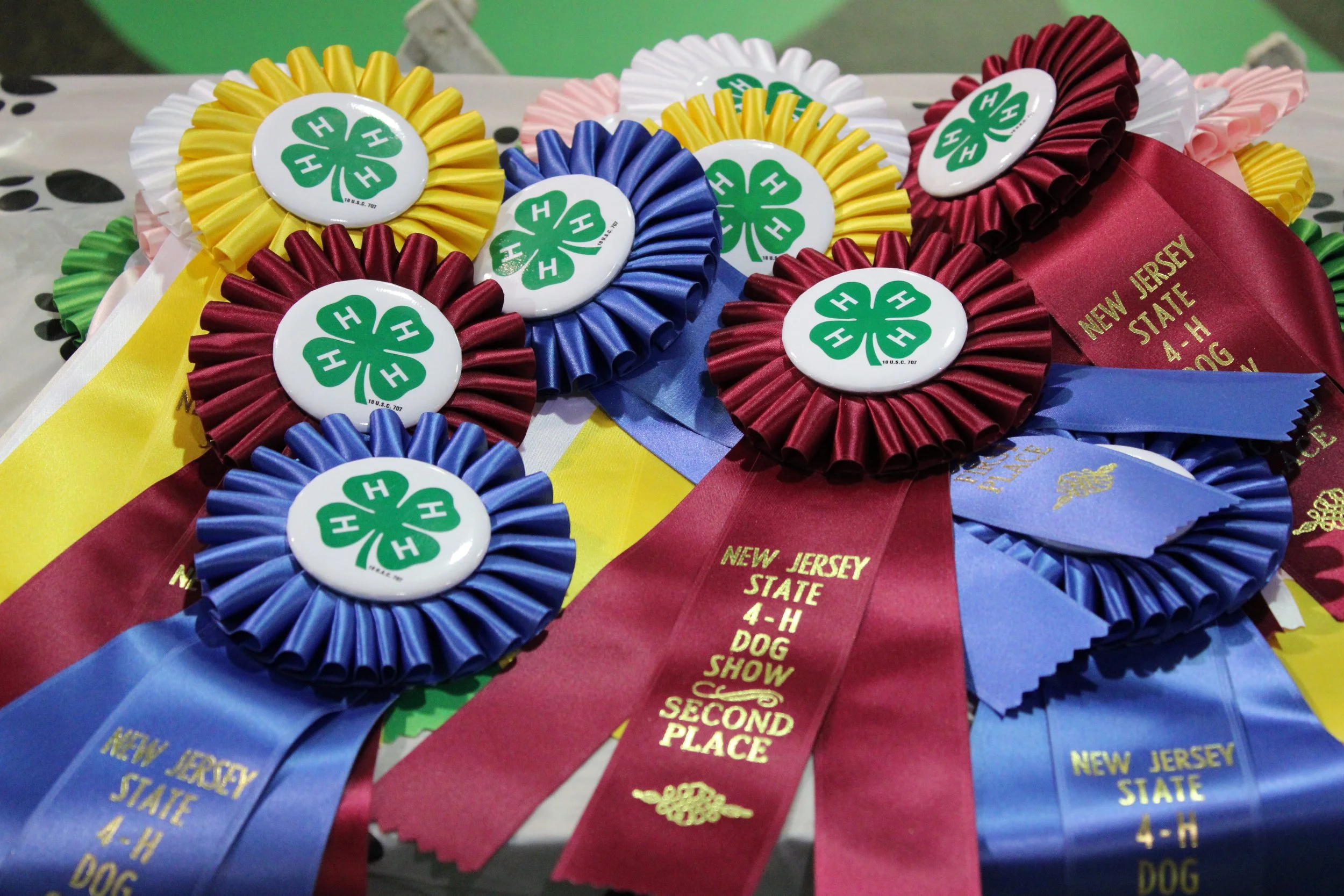 Somerset County 4-H Dog Club Members Earn Many Titles at 2024 State 4-H Dog Show
