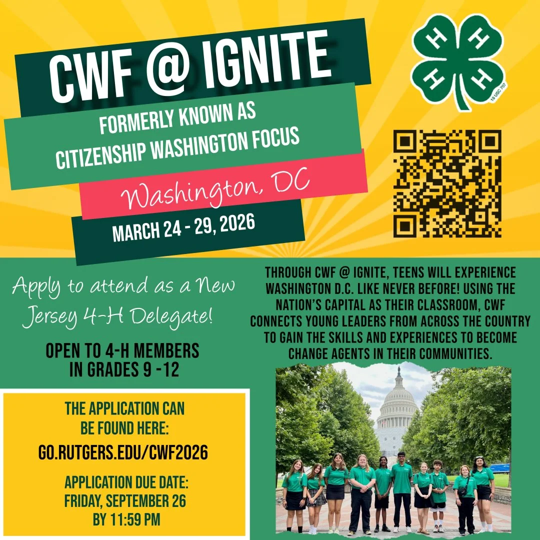 CWF @ IGNITE
