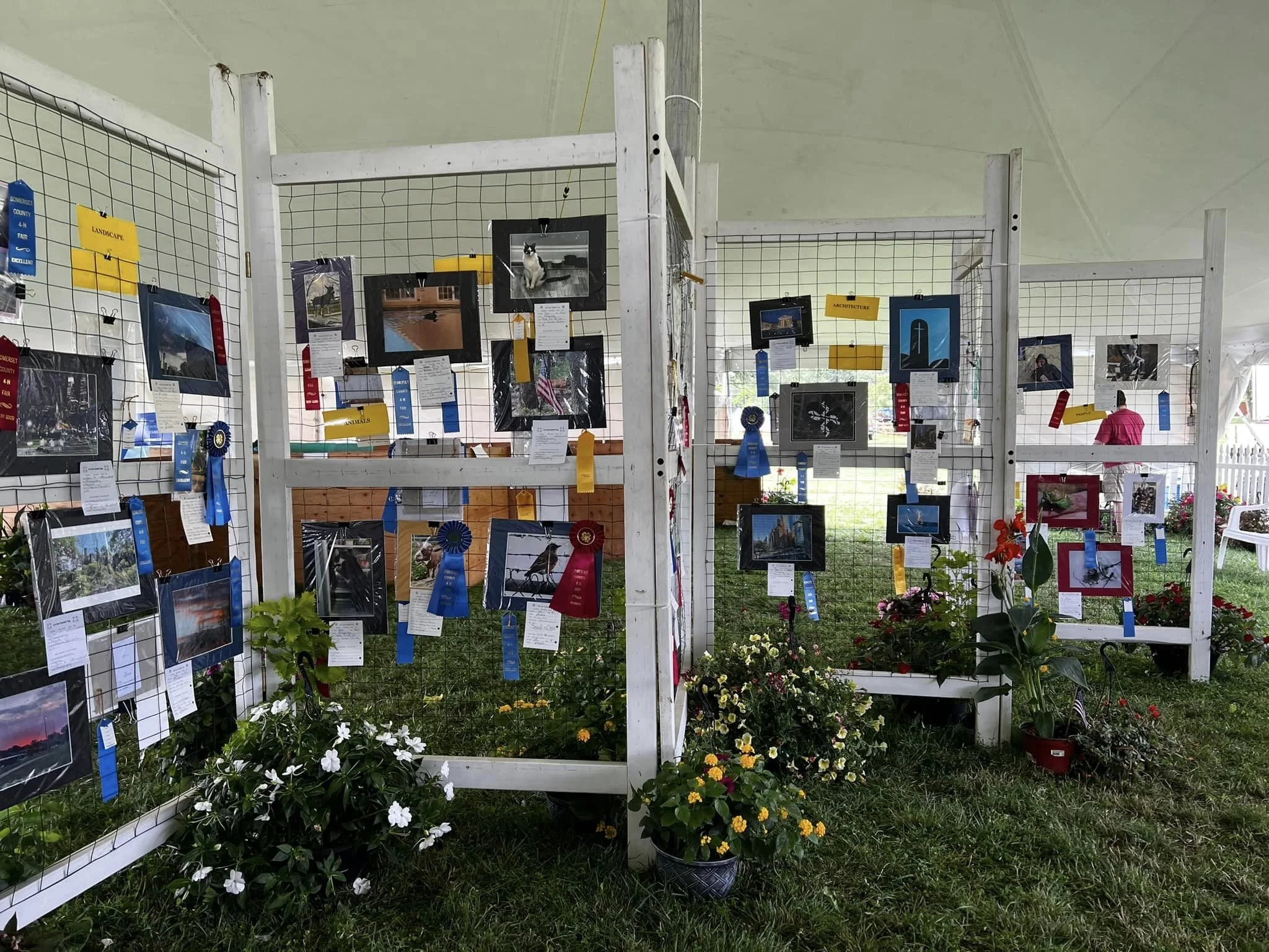 Open Division Drop-Off - 4-H Fair