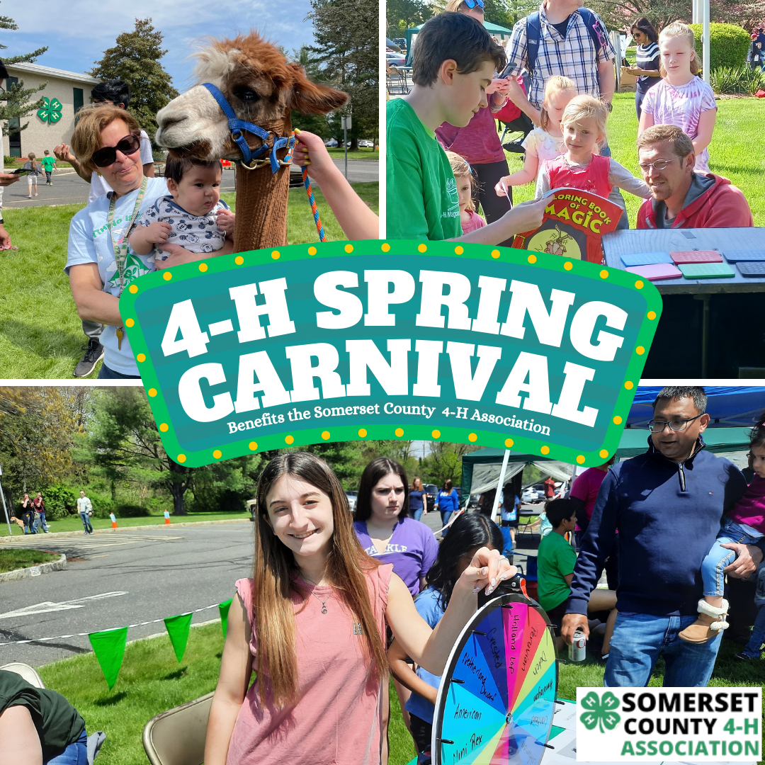 4-H Spring Carnival 
