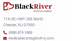 black river.png