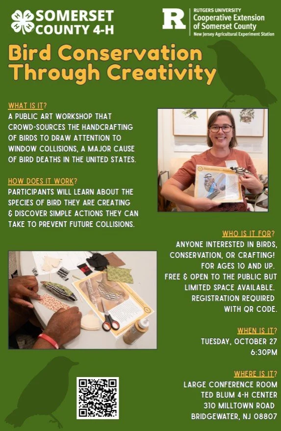 Bird Conservation Through Creativity Workshop