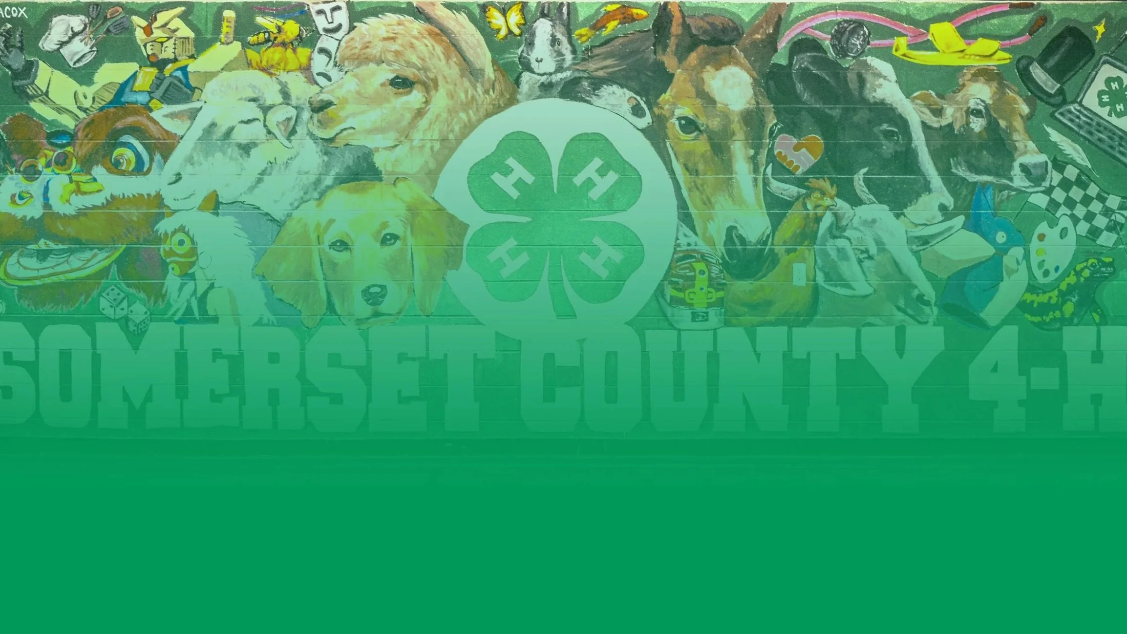 4H Header Overlay 4.jpg