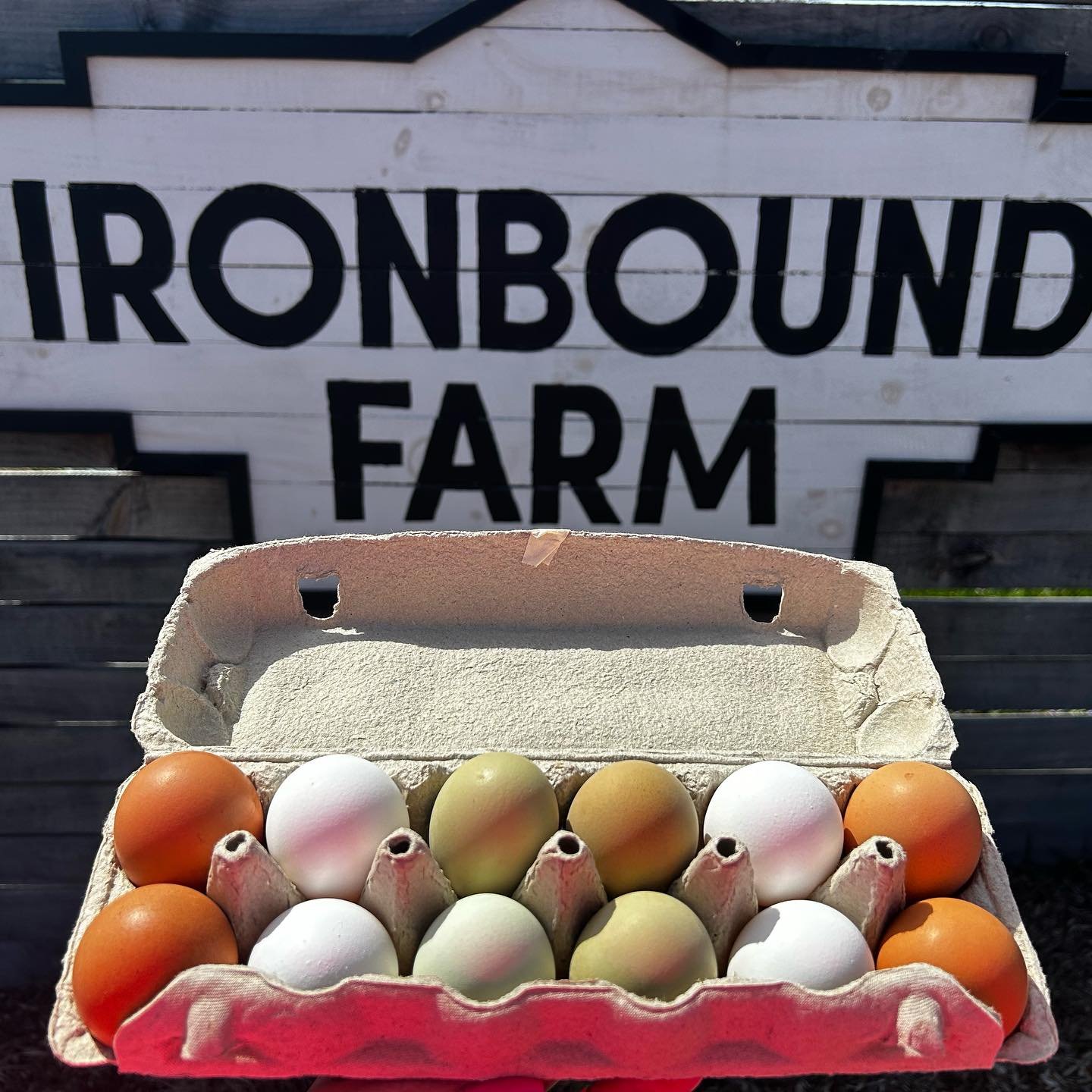 🍳 Spring Egg Sale 🍳 
Spring is here, and with the warmer weather and longer daylight hours, our hens are laying plenty of eggs! Now through Sunday, May 19, we&rsquo;re selling our organic-fed, pasture-raised rainbow eggs for $20 / 3 dozen. This dea