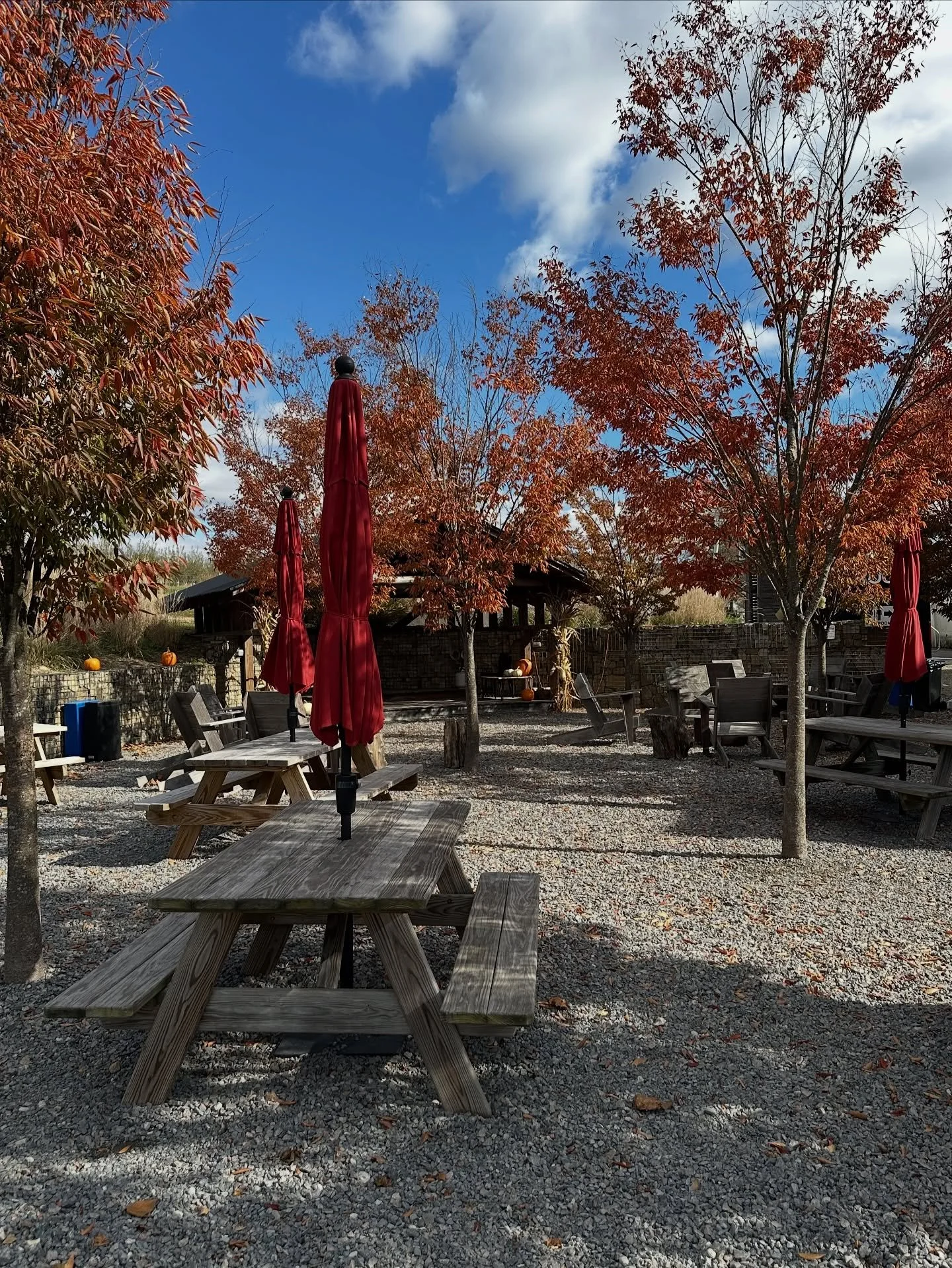 It’s peak fall vibes at the Ciderhouse this weekend 🍂