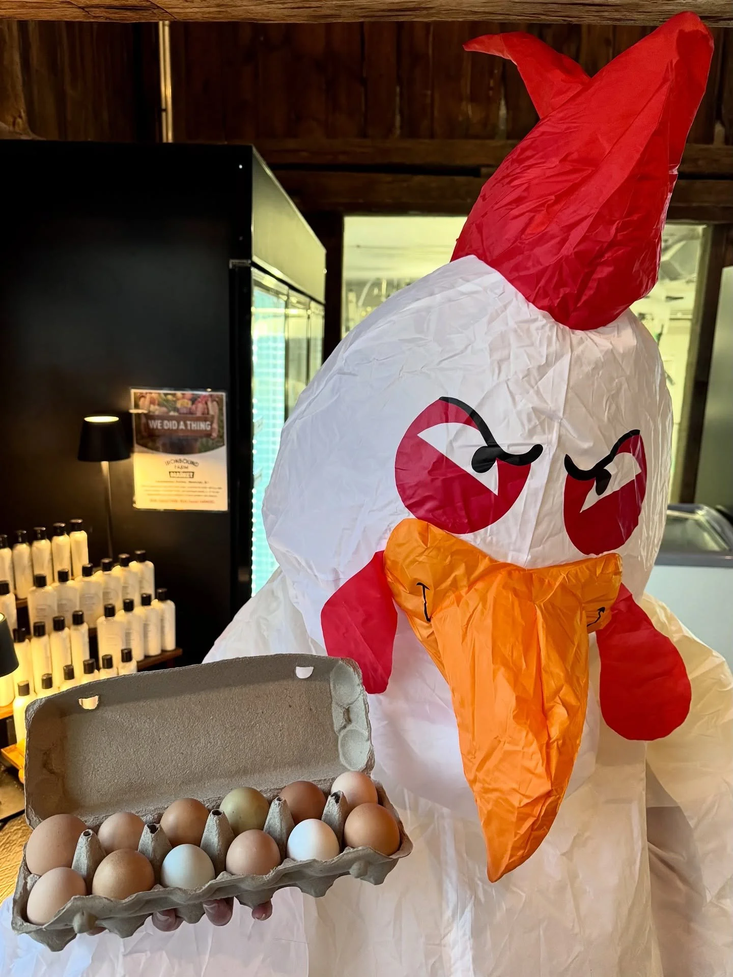 Happy Halloween 🐓🎃