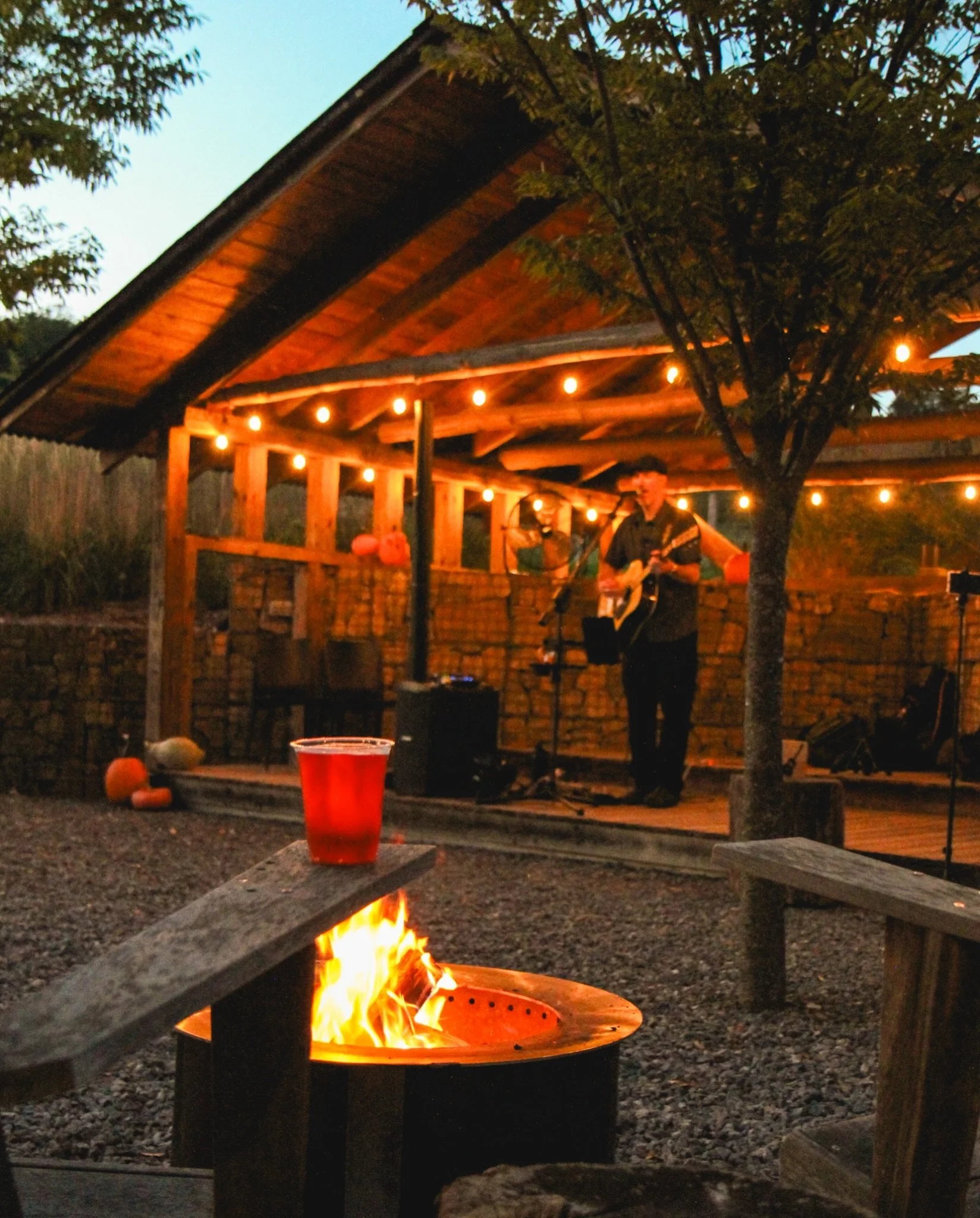 Join us for one of the final Mother Fire Fridays of the season, tomorrow evening starting at 5 PM. Cozy up by a fire pit for live music, your favorite hard cider poured fresh, and delicious food to keep you warm. 

Our farm tour should be on tomorrow