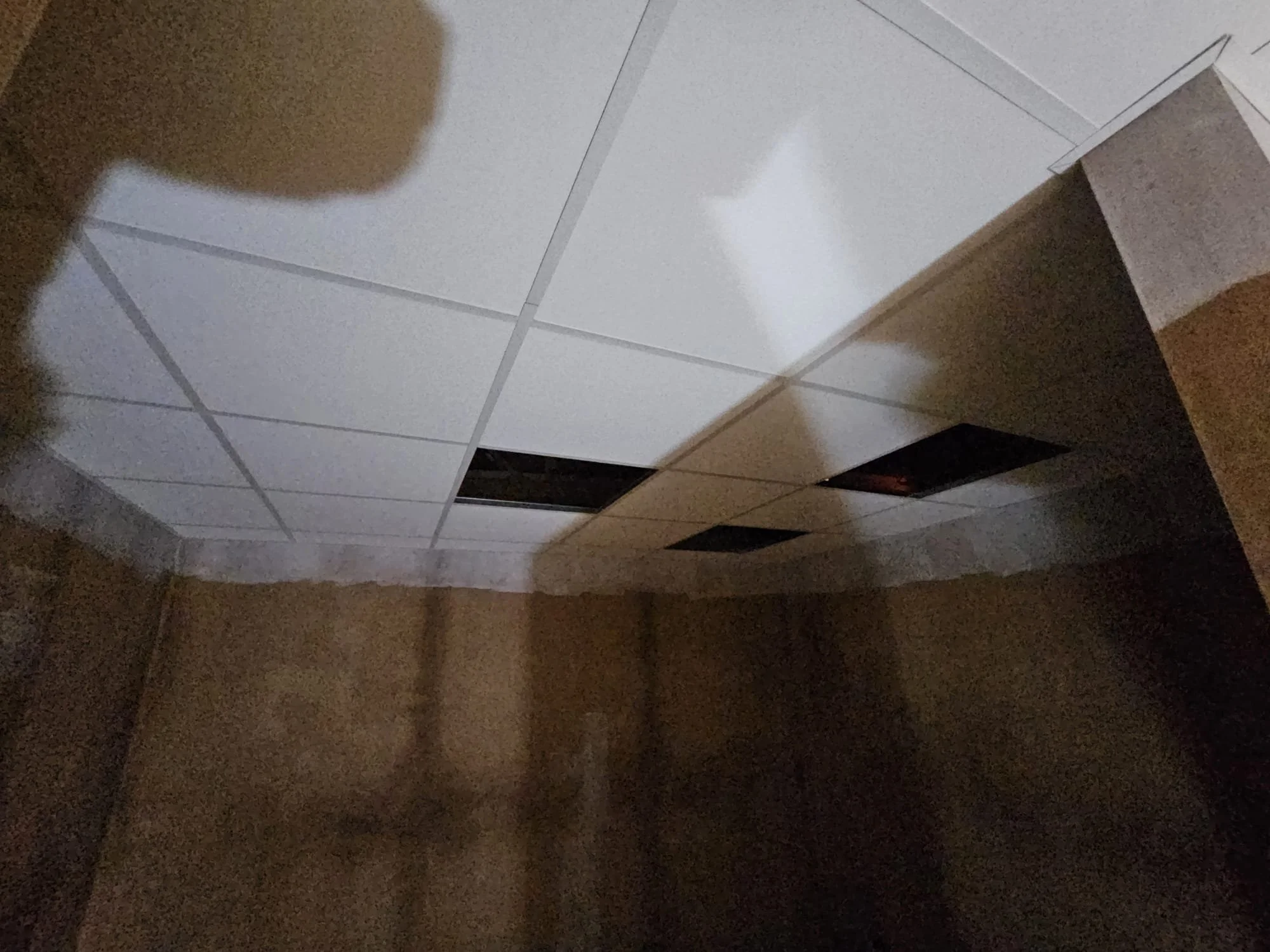 WhatsApp Image 2025-12-01 at 14.34.28.jpeg