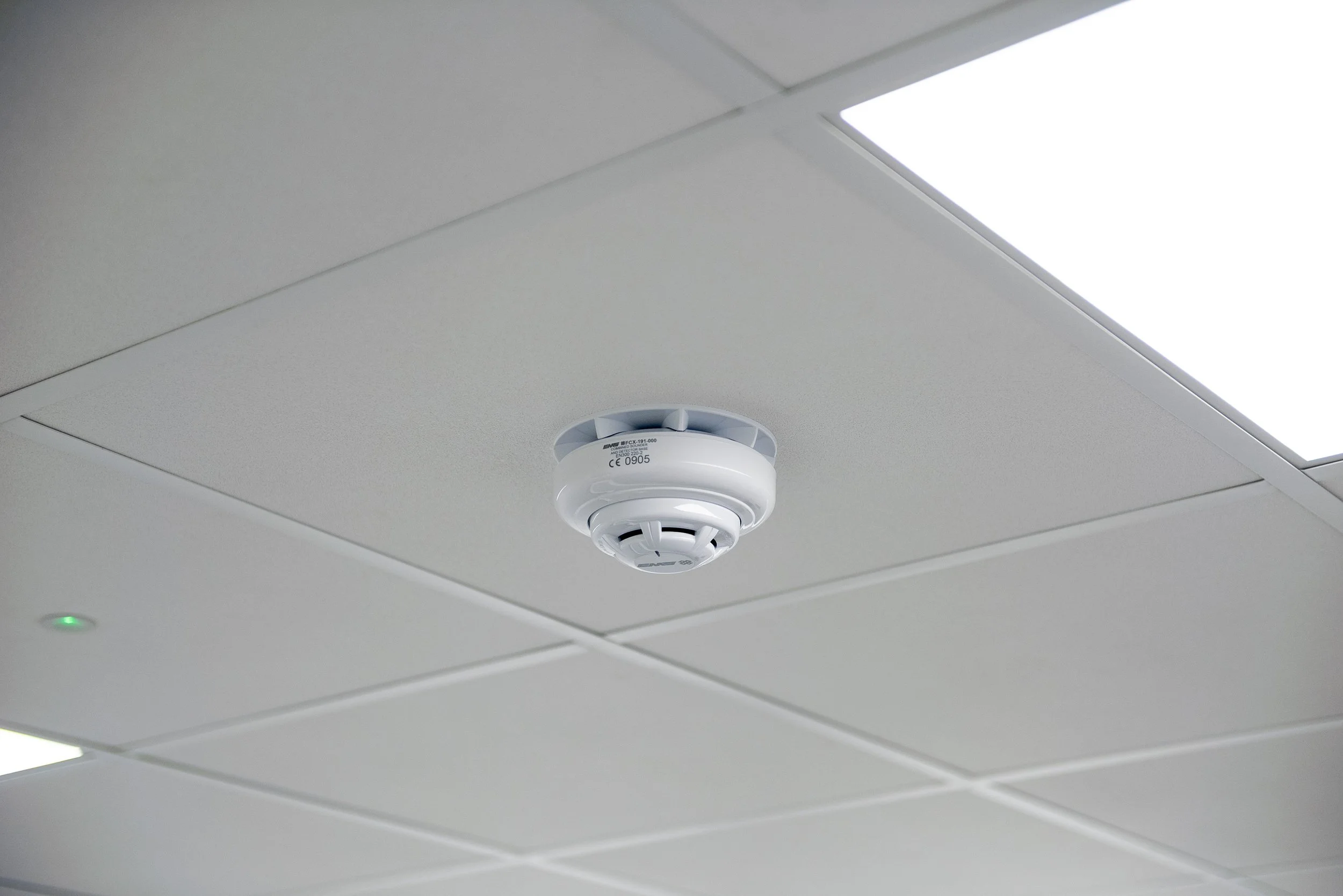 Green Pastures-11.jpg