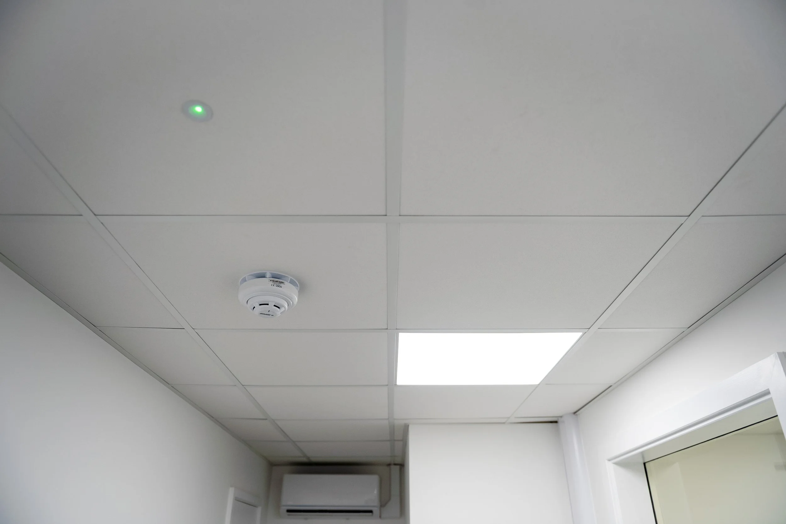 Green Pastures-12.jpg