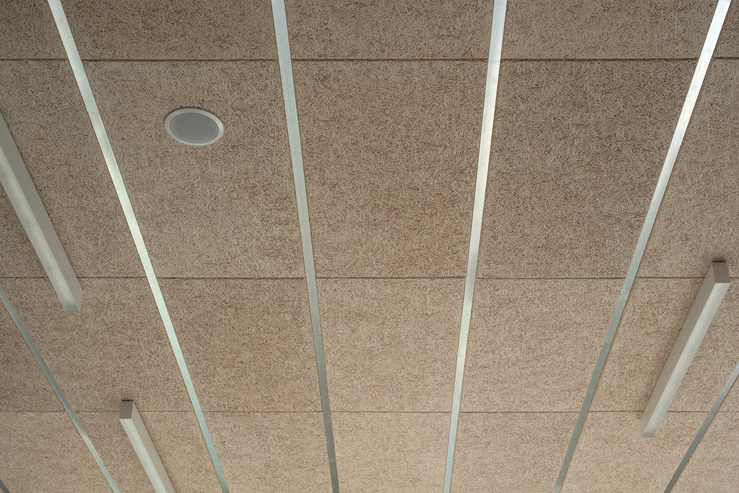 Troldtekt® profile systems