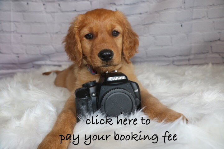 Booking Fee