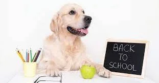 Pooch Advancement School