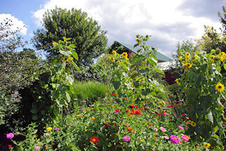 Southern Exposure Herb Farm is a must-see for garden lovers. Stroll through various garden areas. And it's the perfect spot for weddings and special events. Read more about Southern Exposure Herb Farm .