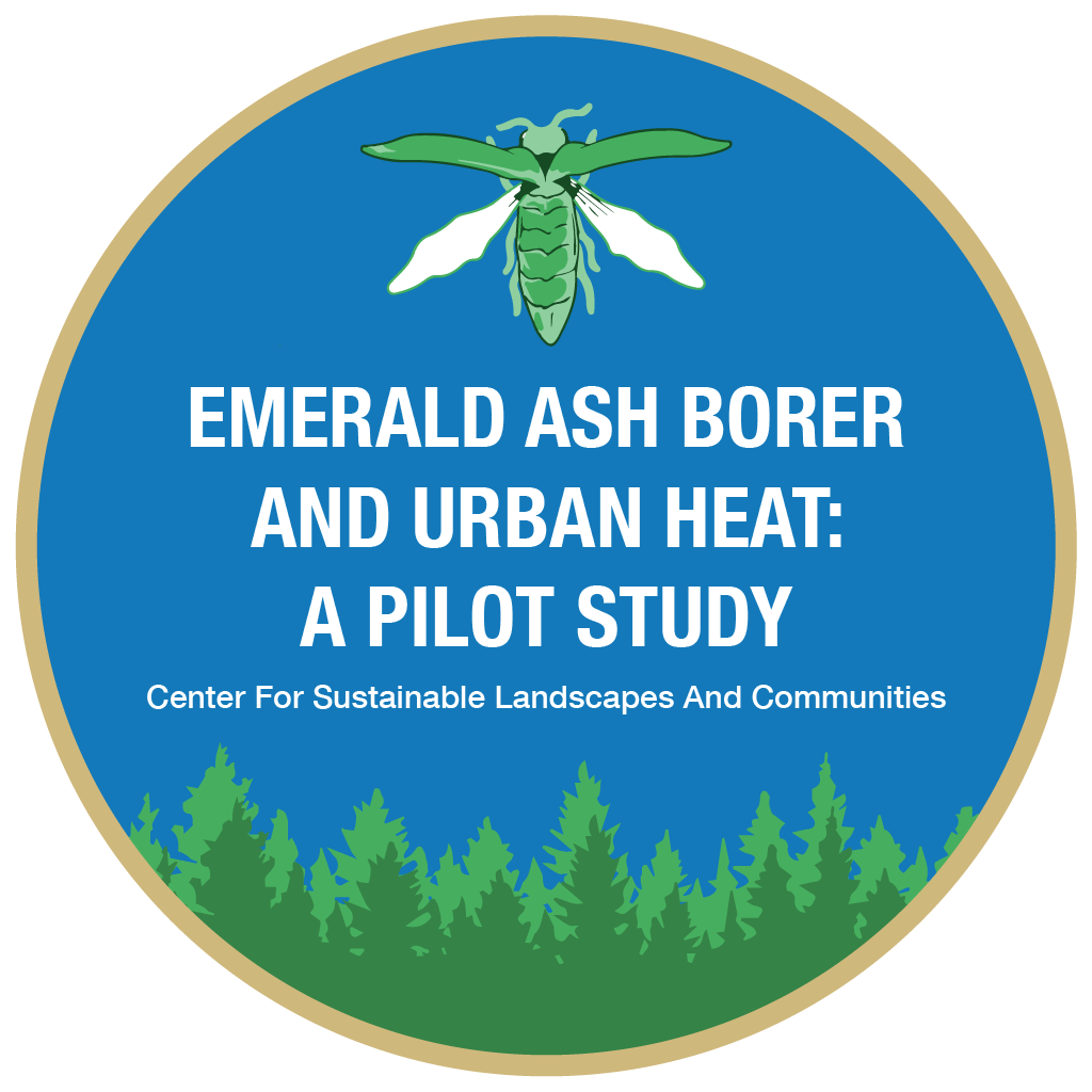 Emerald Ash Borer and Urban Heat: a pilot study