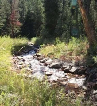 Western Water Resources and Wildfire Panel