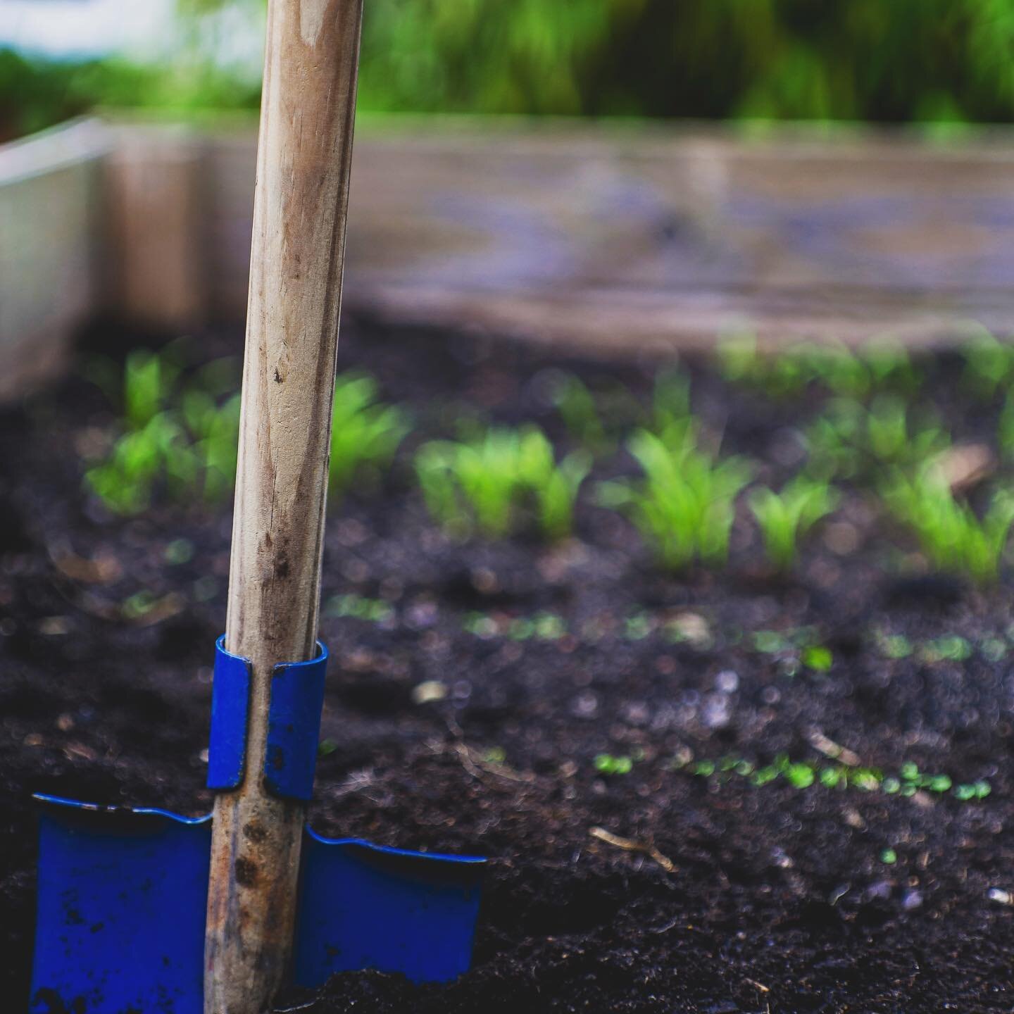 Interested in learning more about and being part of a dialogue on Boulder County&rsquo;s plan for a composting facility? 

Please join us this Wednesday, February 17th from 5:00-6:30pm for a moderated webinar with panelists and a Q and A session.