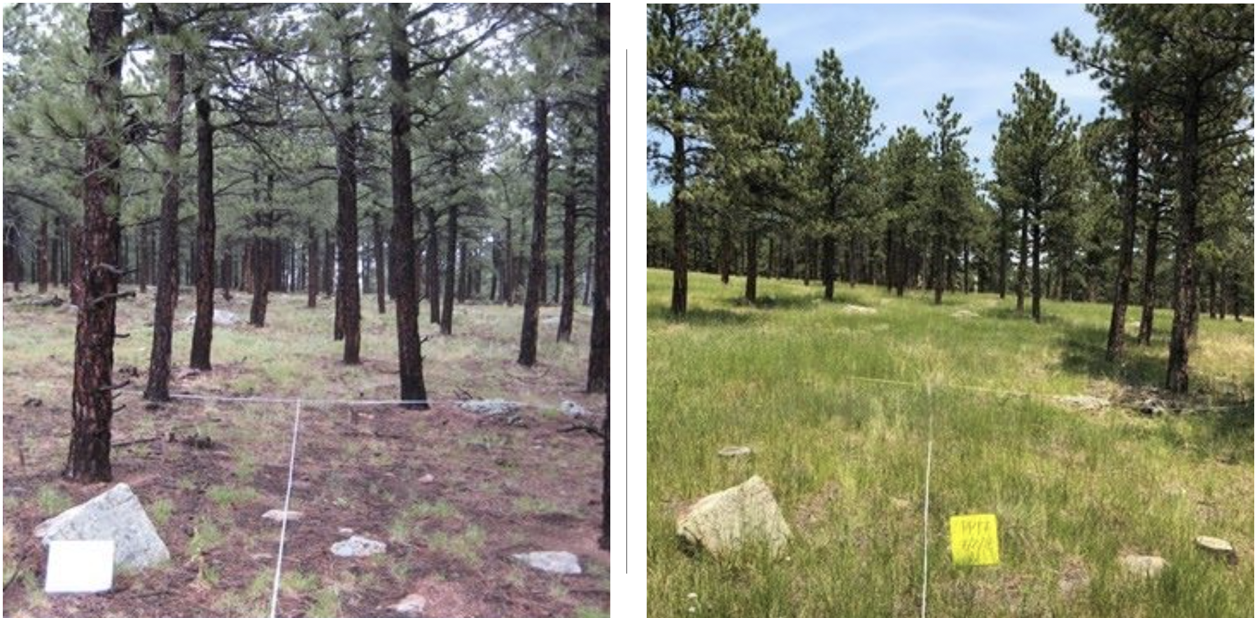 Community Based Natural Climate Solutions