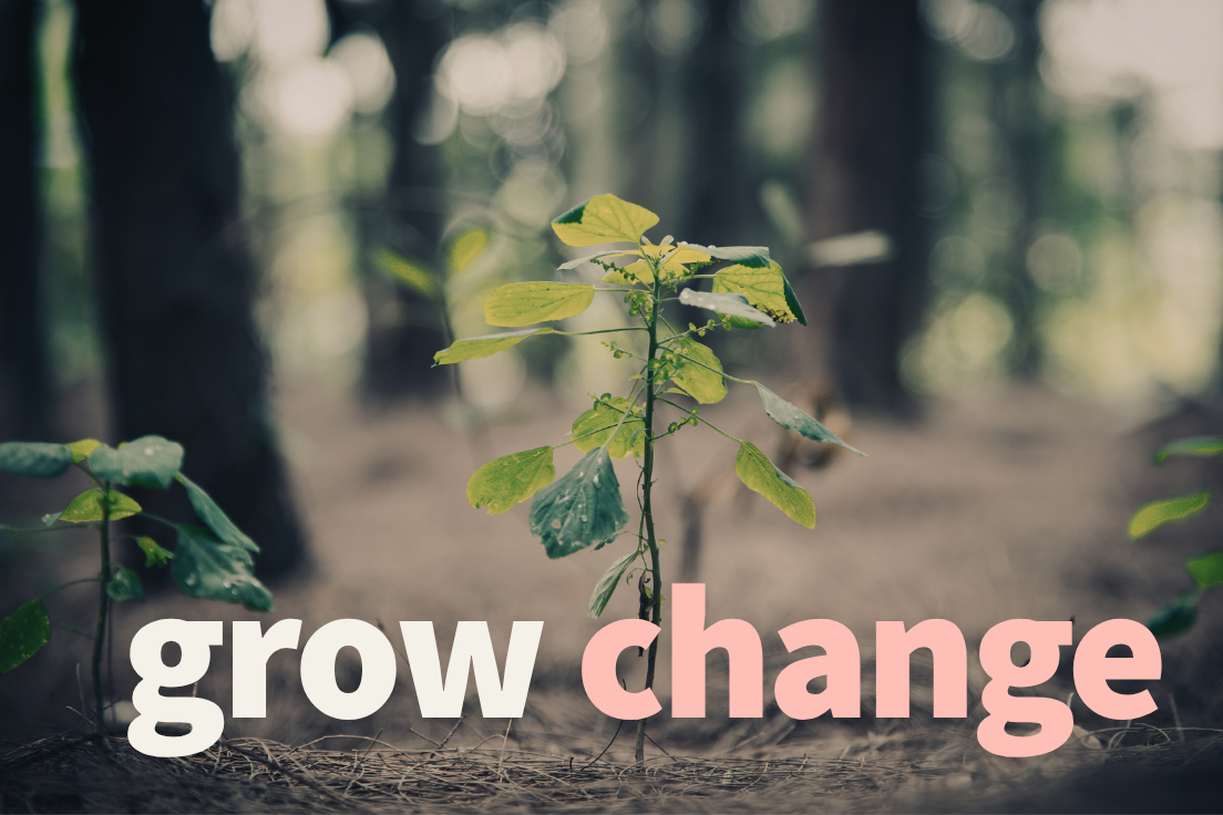 Stop Trying to Drive Change. Start Growing It.