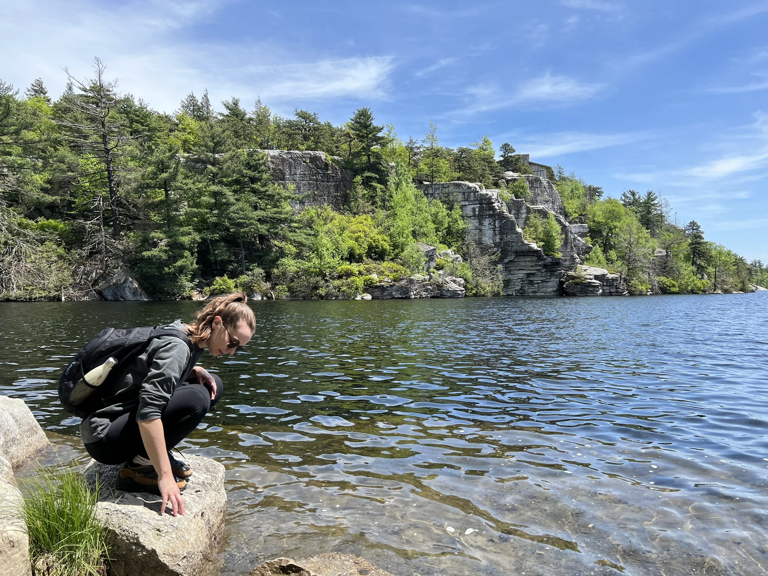 Earth Rising Thanks Polly Cancro
