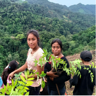 Trees Water People and Utz Ché Promote Local Food Sovereignty Through Mayan Ancestral Knowledge.