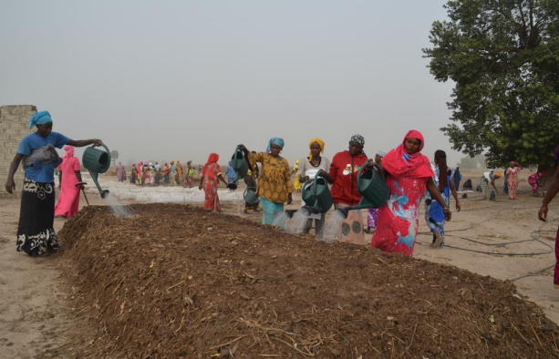 CREATE Inspires Sustainable Development in Rural West Africa 