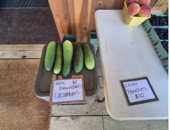 WWOOF USA's Future Farmers Program Broadens Access for More Equitable, Sustainable Local Farms 