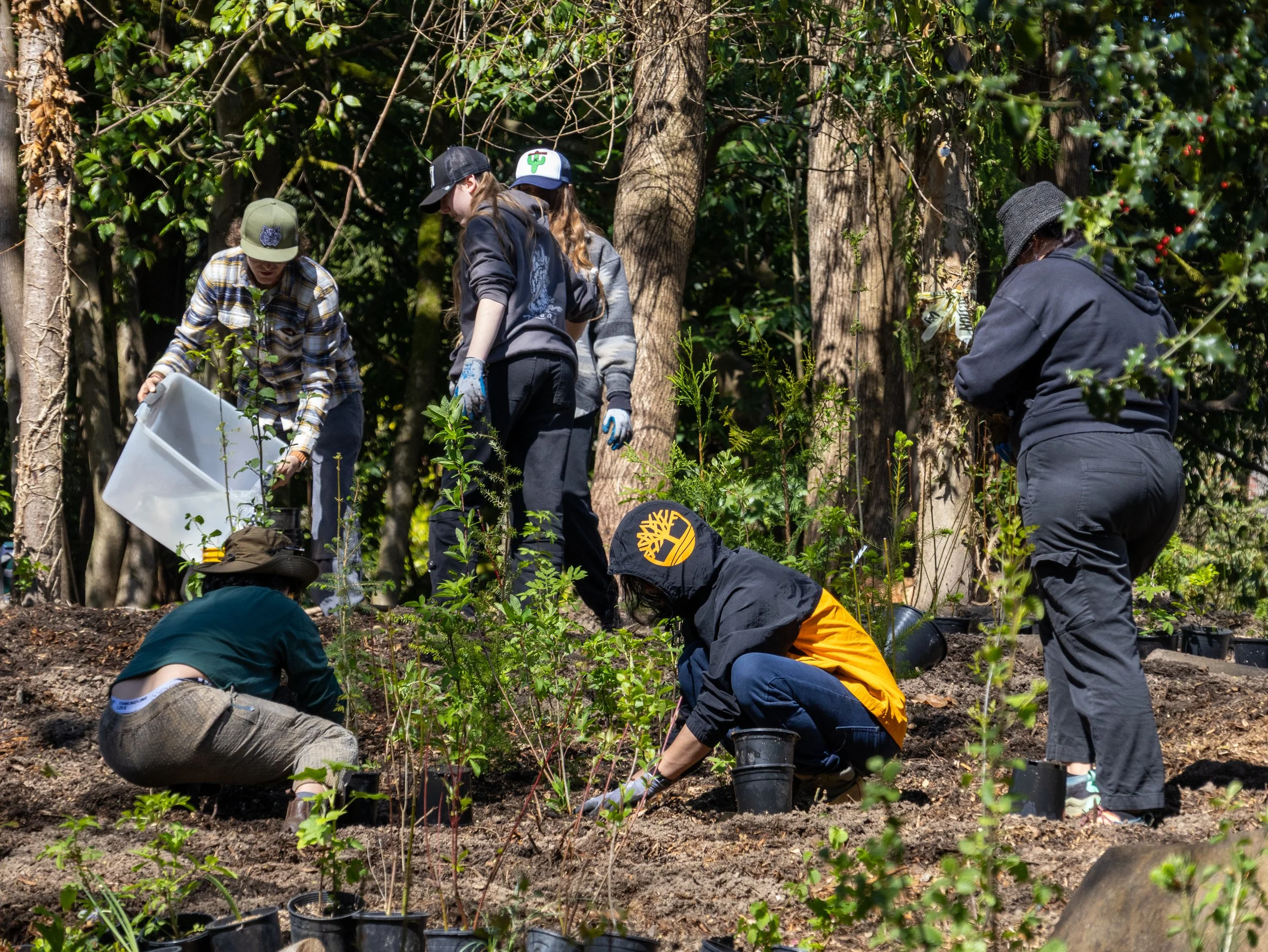 Indigenous Creatives Collective Brings Community Together for Landwork Days