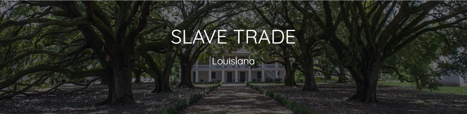 Louisiana Slave Trade.JPG
